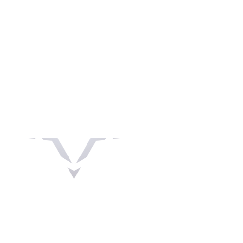 verosecurityservices.co.uk